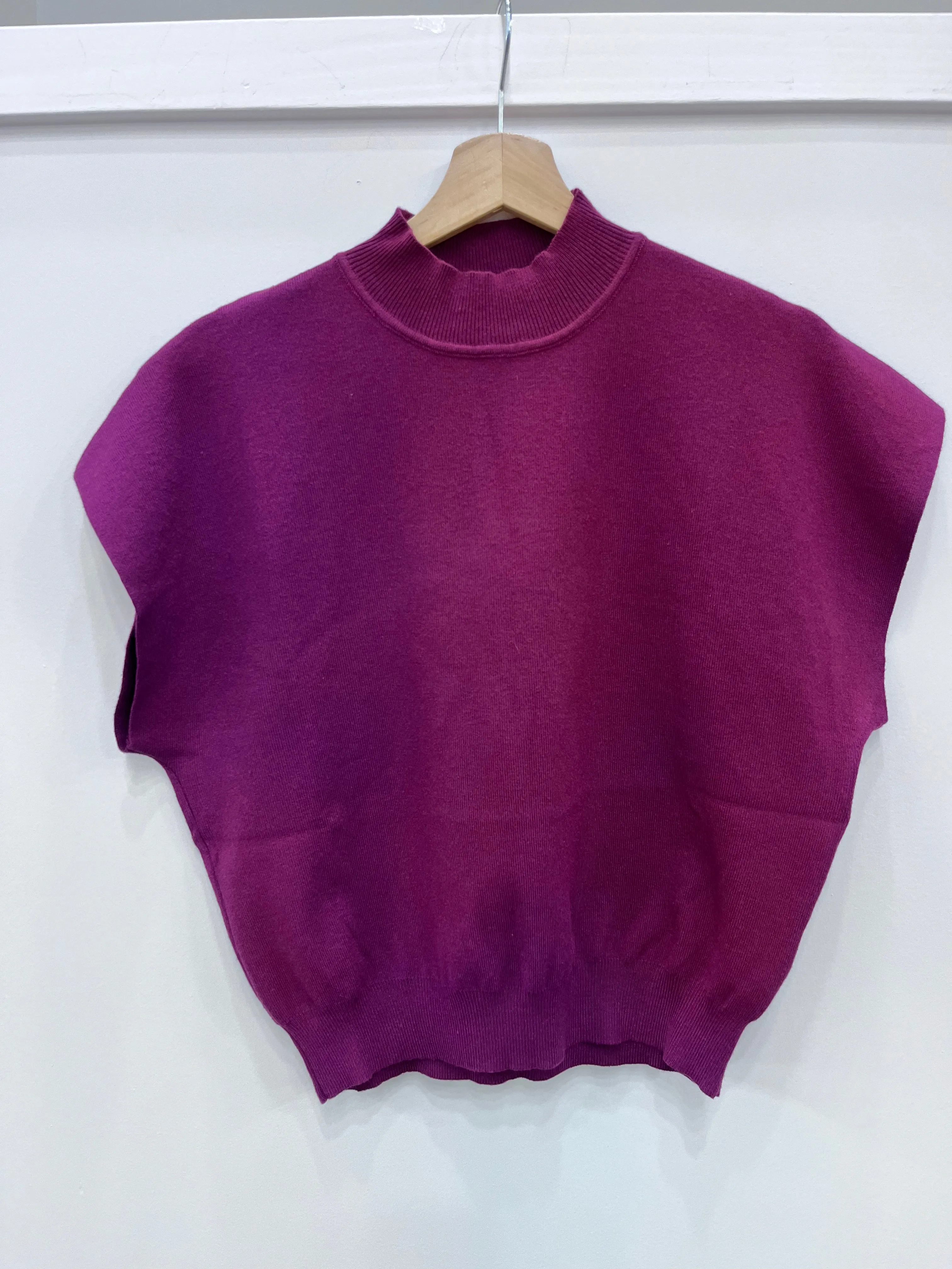 Claudia Mock Neck Sweater Vest in Plum