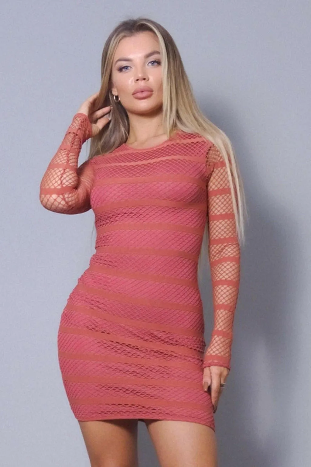 SEE THROUGH ME SEXY MESH MINI DRESS