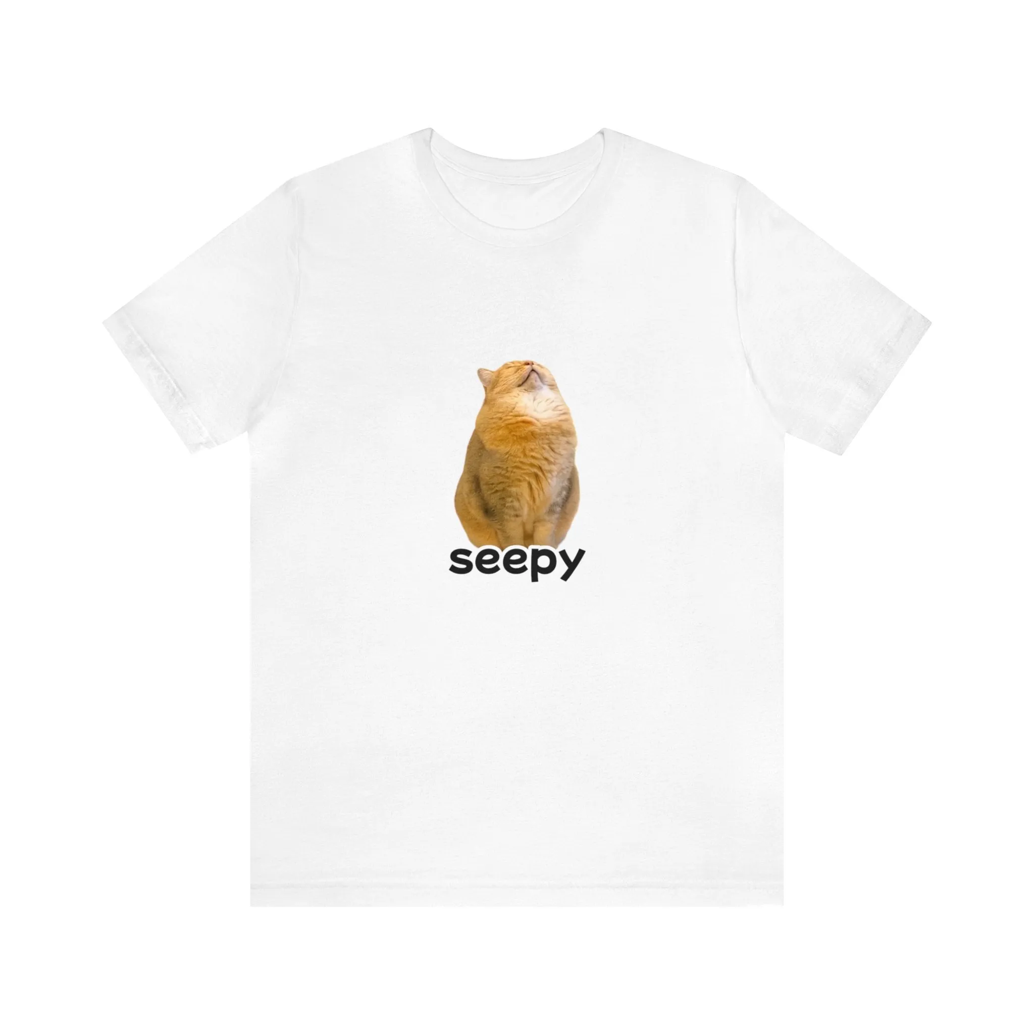 Sleeping Cat Meme Unisex Jersey Short Sleeve Tee