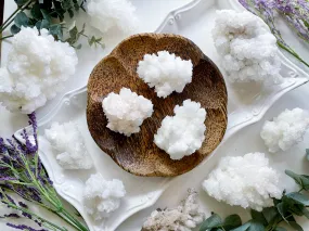 White Aragonite - Grade A || Mexico